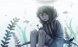  1other androgynous closed_eyes commentary_request evanescent_existence green_hair hood hooded_jacket hoodie jacket len&#039;en necktie other_focus photoshop_(medium) shitodo_aoji short_hair shorts sitting solo underwater yamanoskk 