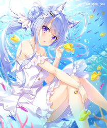  air_bubble ameto_yuki animal animal_ear_fluff animal_ears artist_name bare_shoulders blue_hair breasts bubble commentary_request coral day double_bun doughnut_hair_bun dress female fish fox_ears hair_bun hair_ornament hair_ribbon hand_up highres knees_up long_hair looking_at_viewer medium_breasts off-shoulder_dress off_shoulder original outdoors parted_lips purple_eyes ribbon solo starfish_hair_ornament twintails underwater very_long_hair white_dress white_ribbon 