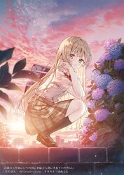  allium_(flower) bag black_socks blonde_hair blurry blurry_foreground bow bowtie brick_wall cover cover_image depth_of_field female flower hanekoto highres hydrangea kneehighs looking_at_viewer looking_to_the_side novel_illustration official_art otonari_no_tenshi-sama_ni_itsu_no_mani_ka_dame_ningen_ni_sarete_ita_ken outdoors oxfords pleated_skirt school_bag shiina_mahiru_(otonari_no_tenshi-sama) skirt socks solo squatting straight_hair sunlight sunset water_drop 