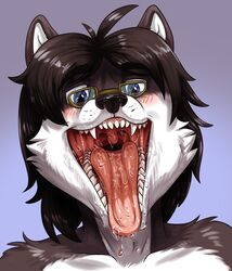  anthro blush bodily_fluids canid canine canis domestic_dog eyewear fangs glasses husky mammal mouth_shot nordic_sled_dog open_mouth saliva servo solo spitz teeth uvula voraciousollie wet 