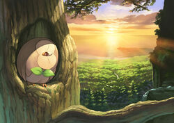  animal_focus atelier_pocket bad_id bad_pixiv_id beach bird closed_eyes cloud commentary_request forest head_tilt lens_flare nature no_humans ocean outdoors owl photoshop_(medium) pine_tree pokemon pokemon_(creature) river rowlet scenery shade sky solo sunrise tree tree_hollow 