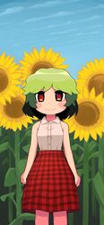  adapted_costume blue_sky blush blush_stickers closed_mouth cloud collared_shirt commentary day feet_out_of_frame female flower green_hair highres kazami_yuuka looking_at_viewer no_vest outdoors plaid plaid_skirt red_eyes red_skirt shirt short_hair skirt sky sleeveless sleeveless_shirt smile solo standing sunflower touhou ugif wavy_hair white_shirt 