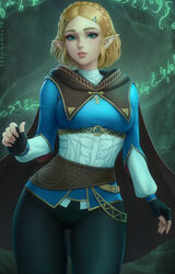  mirco_cabbia pointy_ears princess_zelda tagme the_legend_of_zelda 