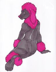  ambiguous_gender anthro canid canine canis domestic_dog hi_res latex looking_back mammal poodle solo trashdogeking 