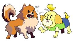  ambiguous_gender animal_crossing barking bodily_fluids canid canine canis capcom crossover domestic_dog drooling duo feral feralized ghost_trick humor isabelle_(animal_crossing) mammal missile_(ghost_trick) nintendo pomeranian saliva shih_tzu simple_background spitz tail tail_motion tailwag toy_dog unknown_artist white_background why 