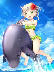  :d bare_legs bare_shoulders barefoot beach bikini bikini_skirt blonde_hair blush cloud commentary_request day dolphin female flower frilled_bikini frills front-tie_top green_bikini green_eyes hair_flower hair_ornament hibiscus highres momoiro_taisen_pairon namaru_(summer_dandy) open_mouth original outdoors photoshop_(medium) riding short_hair sky smile solo swimsuit water 