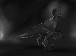  claws digitigrade dinosaur dromaeosaurid extinct gryf humanoid kulbara legband male monochrome prehistoric_species reptile scalie solo tail theropod thick_tail transformation velociraptor were weredinosaur wereraptor werereptile werescalie 