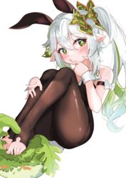  animal_ears ass bare_shoulders black_leotard black_pantyhose fake_animal_ears feet female finger_to_mouth genshin_impact green_eyes hair_ornament knees_up legs leotard long_hair minertime nahida_(genshin_impact) no_shoes pantyhose playboy_bunny pointy_ears rabbit_ears side_ponytail sitting solo strapless strapless_leotard thighs toeless_legwear toes white_hair wrist_cuffs 