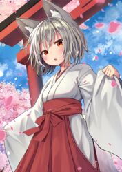  :o animal_ear_fluff animal_ears blush breasts cherry_blossoms cloud commentary day female grey_hair hakama hakama_skirt highres inubashiri_momiji japanese_clothes long_sleeves looking_at_viewer mamemochi medium_breasts miko open_mouth outdoors petals pinching_sleeves red_eyes red_hakama short_hair skirt sky solo symbol-only_commentary tail torii touhou tree wide_sleeves wolf_ears wolf_girl wolf_tail 