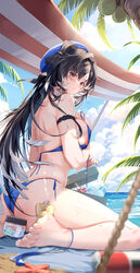  ass back barefoot beach beach_towel bikini black_hair blue_bikini blue_headwear blurry blush breasts brown_eyes chinese_commentary closed_mouth clouble cloud coconut coconut_tree commentary cooler covering_breasts covering_privates depth_of_field feet female foot_out_of_frame hair_between_eyes highres legs long_hair looking_at_viewer lotion medium_breasts multicolored_hair ocean outdoors palm_tree shoulder_blades sidelocks sitting solo starfish sunscreen swimsuit tacet_mark_(wuthering_waves) thighs toenails toes towel tree two-tone_hair wariza white_hair wuthering_waves yangyang_(wuthering_waves) 