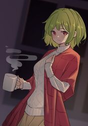  adjusting_clothes alternate_costume blurry blurry_background bob_cut brown_skirt commentary cowboy_shot cup female green_hair hand_up highres holding holding_cup indoors kanpa_(campagne_9) kazami_yuuka knit_sweater light_blush light_smile long_sleeves looking_at_viewer open_clothes open_robe plaid red_eyes red_robe ribbed_sleeves ribbed_sweater robe short_hair sidelocks skirt solo steam sweater touhou turtleneck turtleneck_sweater white_sweater 