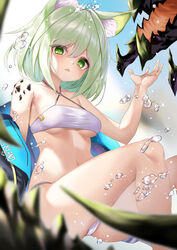  alternate_costume animal_ear_fluff animal_ears arknights bandeau bare_legs bare_shoulders bikini blue_sky breasts cat_ears commentary criss-cross_halter day ehart feet_out_of_frame female green_eyes green_hair hair_between_eyes halterneck hand_up kal&#039;tsit_(arknights) looking_at_viewer material_growth medium_breasts mon3tr_(arknights) navel open_mouth oripathy_lesion_(arknights) short_hair sky solo stomach swimsuit thighs underboob water_drop white_bikini 