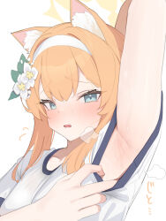  animal_ear_fluff animal_ears arm_up armpits blue_archive detached_sleeves flower gym_shirt gym_uniform hair_flower hair_ornament hairband halo highres katahaba_keiji mari_(blue_archive) official_alternate_costume orange_hair presenting_armpit shirt sweat white_background white_flower white_hairband white_shirt yellow_halo 