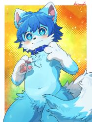  3:4 anthro blue_body blue_collar blue_eyes blue_fur blue_tail blush blush_lines canid canine chest_tuft collar crotch_tuft fox fur hi_res kemono kuzugitsune male mammal mikey_(mikey_fox) shy solo surprised_expression tail tuft white_paws 