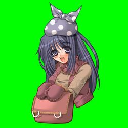  :d bag blue_eyes blue_hair breasts dark_blue_hair eyes_visible_through_hair female green_background hair_between_eyes hakoiri_nyanko long_hair long_sleeves medium_breasts merchant_(ragnarok_online) mittens open_clothes open_vest pink_bag purple_mittens purple_vest ragnarok_online simple_background smile solo teeth upper_body upper_teeth_only vest 