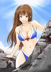  bikini brown_eyes brown_hair day dead_or_alive female hybrid_cat kasumi_(doa) long_hair smile solo swimsuit 