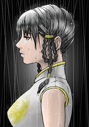  black_hair braid brown_eyes dead_or_alive dress female from_side hybrid_cat lei_fang rain solo 