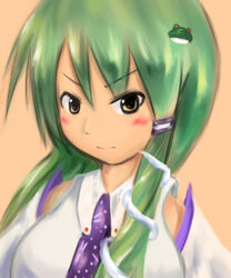  commentary_request detached_sleeves female green_hair hair_ornament kochiya_sanae solo tetsuji touhou yellow_eyes 