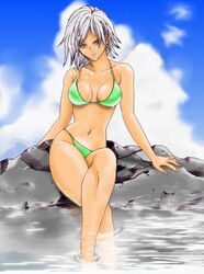  bikini blue_eyes breasts christie_(doa) cleavage day dead_or_alive female hybrid_cat large_breasts ocean short_hair solo swimsuit white_hair 