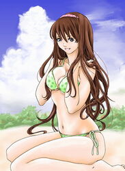  beach bikini blue_eyes brown_hair cloud day dead_or_alive female hitomi_(doa) hybrid_cat long_hair outdoors side-tie_bikini_bottom sitting solo swimsuit 