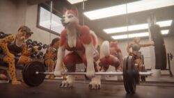  16:9 3d_(artwork) abs amber_eyes anthro athletic athletic_anthro athletic_female athletic_wear balto_(series) biceps big_breasts black_hair bottomwear bra breasts canid canine canis cheek_tuft cheetah chenira_(johnwulffe) chest_tuft cleavage clothed clothing countershading crouching deadlift digital_media_(artwork) domestic_dog dreamworks facial_markings facial_tuft felid feline felis female fur group gym gym_bottomwear gym_shorts hair head_markings hi_res husky inside jenna_(balto) johnwulffe kung_fu_panda mammal markings master_tigress medium_breasts mirror mirror_reflection muscular muscular_anthro muscular_female neck_tuft nordic_sled_dog open_mouth pantherine punch punching_bag red_body red_eyes red_fur reflection shorts sitting spitz sport sports_bra spots spotted_body spotted_fur standing striped_body striped_fur stripes teeth tiger trio tuft underwear universal_studios widescreen yellow_body yellow_eyes yellow_fur yellow_sclera 