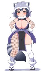  animal_ears bandages bare_shoulders blush breasts brown_eyes cleavage commentary_request common_raccoon_(kemono_friends) fang_out female fishnet_gloves fishnet_pantyhose fishnets full_body fur_collar gloves grey_hair hands_on_own_hips highres kemono_friends large_breasts looking_at_viewer multicolored_hair ninja obi oerba_yun_fang pantyhose pelvic_curtain raccoon_ears raccoon_tail ransusan revision sandals sash short_hair simple_background smile smug socks solo tail thighhighs white_background white_hair 