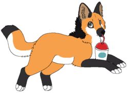  2013 aliasing alpha_channel ambiguous_gender bendy_straw black_body black_fur black_nose brown_inner_ear_fluff canid canine container cup digital_drawing_(artwork) digital_media_(artwork) digitigrade drinking drinking_straw feet feral fingerless_(marking) fingerless_gloves_(marking) flat_colors fox full-length_portrait fur gloves_(marking) grey_eyes hybrid inner_ear_fluff leg_markings mammal maned_wolf markings microsoft_paint_(artwork) orange_body orange_fur paws portrait red_fox sebdoggo simple_background slushie snout socks_(marking) solo straw_in_mouth tail toeless_(marking) toeless_socks_(marking) transparent_background true_fox tuft white_body white_fur 