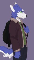  absurd_res anthro backpack black_backpack black_nose blue_body blue_fur bottomwear brown_clothing brown_jacket brown_topwear canid canine canis cheek_tuft clothed clothing dark_bottomwear domestic_dog facial_tuft fur glistening glistening_eyes green_clothing green_topwear hi_res jacket kuttoyaki looking_at_viewer male mammal mouth_closed neck_tuft pants portrait pupils purple_background side_view simple_background slit_pupils solo standing three-quarter_portrait topwear tuft white_body white_fur 