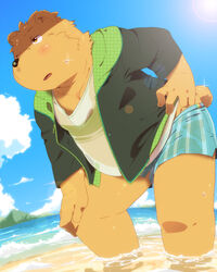  2014 4:5 anthro beach belly biped black_nose blush bottomwear brown_body brown_fur clothing fur hinami humanoid_hands kemono male mammal outside seaside shirt shorts slightly_chubby topwear ursid water 