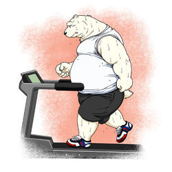  1:1 2010 anthro bear belly black_nose bodily_fluids bottomwear clothing exercise fur humanoid_hands jin_(artist) kemono male mammal overweight overweight_male polar_bear shirt shorts solo sweat topwear ursine white_body white_fur workout 