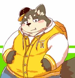  2016 anthro belly big_belly black_nose blush bottomwear brown_body brown_fur canid canine clothing cute_fangs fur hat headgear headwear hoodie kemono male mammal natamaru_a overweight overweight_male pants popori solo tera_online topwear 