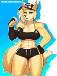  3:4 abs absurd_res adidas anthro athletic athletic_anthro athletic_female athletic_wear biceps big_breasts bird_dog blonde_hair blue_eyes blush_(blushbrush) blushbrush bodily_fluids bottomwear bra breasts canid canine canis cleavage clothed clothing domestic_dog english_text female fist front_view fur grin hair hat headgear headwear hi_res hunting_dog mammal muscular muscular_anthro muscular_female retriever shorts simple_background smile solo sports_bra sweat text text_on_bra text_on_clothing text_on_hat text_on_headwear text_on_sports_bra text_on_underwear undercut underwear wolf yellow_body yellow_fur 