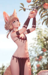  animal_ear_fluff animal_ears armband blonde_hair blurry blurry_background branch commentary cowboy_shot day ear_piercing english_commentary female flat_chest food fruit highres jewelry khiara_(personal_ami) leaf light_smile long_hair looking_away low_twintails navel necklace original outdoors peach pelvic_curtain personal_ami picking_fruit piercing solo tail twintails yellow_eyes 