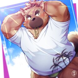  1:1 2021 anthro belly blush brown_body brown_fur canid canine canis clothing domestic_dog fur hinami humanoid_hands kemono lifewonders male mammal outside overweight overweight_male shirt solo swimwear tokyo_afterschool_summoners topwear yasuyori_(tas) 