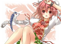  animal bandages blush chinese_clothes commentary_request deetamu double_bun female hair_bun ibaraki_kasen open_mouth pink_eyes pink_hair puffy_sleeves raijuu short_hair short_sleeves solo touhou 