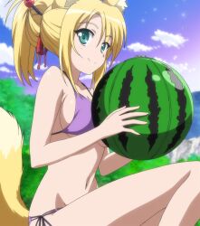  animal_ears anime_screenshot bikini blonde_hair breasts dog_days female food fox_ears fruit green_eyes highres large_breasts non-web_source outdoors ponytail purple_bikini ribbon side-tie_bikini_bottom sideboob smile solo swimsuit underboob watermelon yukikaze_panettone 