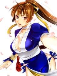  breasts brown_eyes brown_hair cherry_blossoms cleavage commentary_request dead_or_alive female fingerless_gloves gloves japanese_clothes kasumi_(doa) korean_commentary large_breasts lips long_hair pelvic_curtain petals ponytail sakichi smile solo 