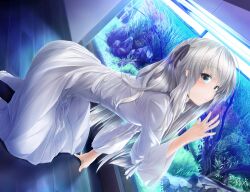  blue_eyes commentary_request female fish_tank hair_ribbon kasugano_sora long_hair ribbon solo white_hair wingheart yosuga_no_sora 