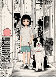  alley animal black_hair building canine chappy_(takopii_no_genzai) collar creature female full_body grey_eyes highres kuze_shizuka leash looking_at_viewer o3o octopus outdoors partially_colored shirt shoes short_hair shorts smile sneakers standing sugata_hikaru t-shirt takopii takopii_no_genzai white_shirt 