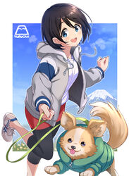  animal black_hair blue_eyes canine chihuahua chikuwa_(yurucamp) clothed_animal commentary copyright_name day female hood hoodie leash leggings mirai_denki mount_fuji outdoors round_teeth running saitou_ena shoes short_hair sky sneakers teeth tongue tongue_out yurucamp 