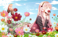  flowers headphones long_hair megurine_luka pink_hair ribbons socks tsujiori vocaloid 