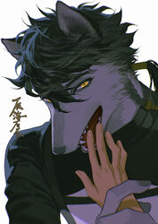  1boy animal_ears black_hair body_fur braid chinese_text disembodied_hand fangs furry furry_male grey_fur hand_grab hand_up kinsatsu_(grizzled) long_sleeves looking_at_viewer low_ponytail male_focus open_mouth original short_hair_with_long_locks simple_background upper_body white_background wolf_boy wolf_ears yellow_eyes 