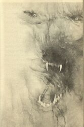  1976 20th_century abstract_background ambiguous_gender ancient_art black_and_white black_nose canid canine canis creepy feral greyscale growling mammal monochrome mythological_canine mythological_creature mythology nightmare_fuel open_mouth scary small_eyes solo stephen_gammell surreal traditional_media_(artwork) were werecanid werecanine werewolf wolf 