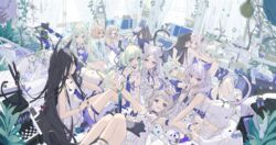  6+girls animal_ears bird blue_bird blue_eyes cat_ears crescent feline green_hair highres instrument multiple_girls original piano plant potted_plant purple_eyes touzai_(poppin_phl95) window 