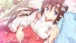  blue_eyes brown_hair erondo game_cg honjou_masato japanese_clothes koinaka long_hair miko nonohara_mio petals 