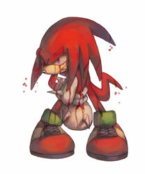  1boy animal_nose bad_id bad_pixiv_id blood bluekomadori clenched_teeth commentary full_body furry furry_male gloves injury knuckles_the_echidna male_focus one_eye_closed simple_background solo sonic_(series) standing teeth white_background white_gloves 