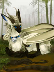  3:4 ambiguous_gender bell bell_collar blue_eyes collar detailed detailed_fur domestic_cat dragon dragon_wings fangs felid feline felis female feral forest forest_background fur horn hybrid kace_(kcravenyote) kesame_(artist) long_ears long_tail looking_at_viewer lying mammal mane mythological_creature mythological_scalie mythology nature nature_background nonbinary_(lore) plant scalie siamese solo spiked_collar spikes sullivan tail teeth tree whiskers witherlings 