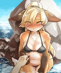  2017 ambiguous_gender anthro bangs bikini blonde_hair blush breasts brown_body brown_fur canid canine clothing disembodied_hand duo eyebrows eyelashes female first_person_view fox front_view fur gloves_(marking) hair hair_over_eye hand_holding hi_res human kinokoningen looking_at_viewer mammal markings navel one_eye_obstructed orange_body orange_eyes orange_fur outside partially_submerged ponytail pupils seaside slit_pupils solo_focus standing swimwear wet white_body white_fur 