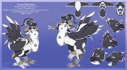  avian avian_taur beak biped biped_taur chocobo chocobo_taur clothed clothing english_text feathers feet female final_fantasy model_sheet monk solo square_enix talons taross taur text toes wings witchofavalon 