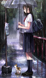  animal bag black_eyes black_hair black_socks blue_skirt bus_stop commentary_request duffel_bag feline female from_side full_body highres holding holding_umbrella kneehighs long_hair morerin neck_ribbon original outdoors photoshop_(medium) pleated_skirt profile puddle rain red_ribbon ribbon ripples school_uniform serafuku shirt shoulder_bag skirt socks solo standing transparent transparent_umbrella umbrella white_shirt 